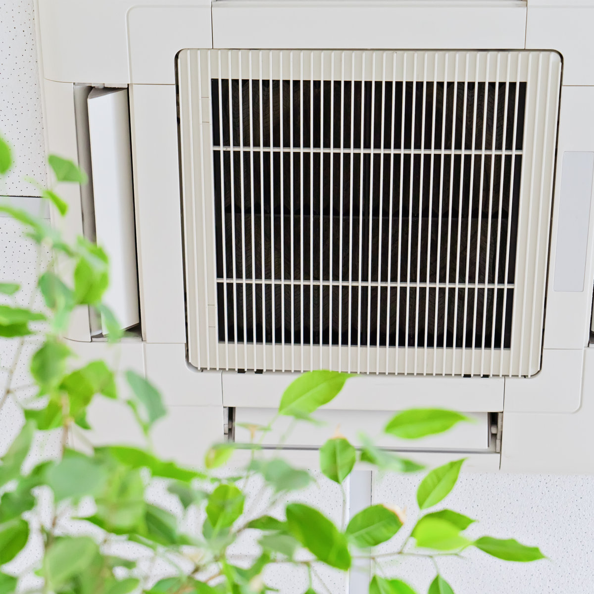 air purification services in blanco, texas