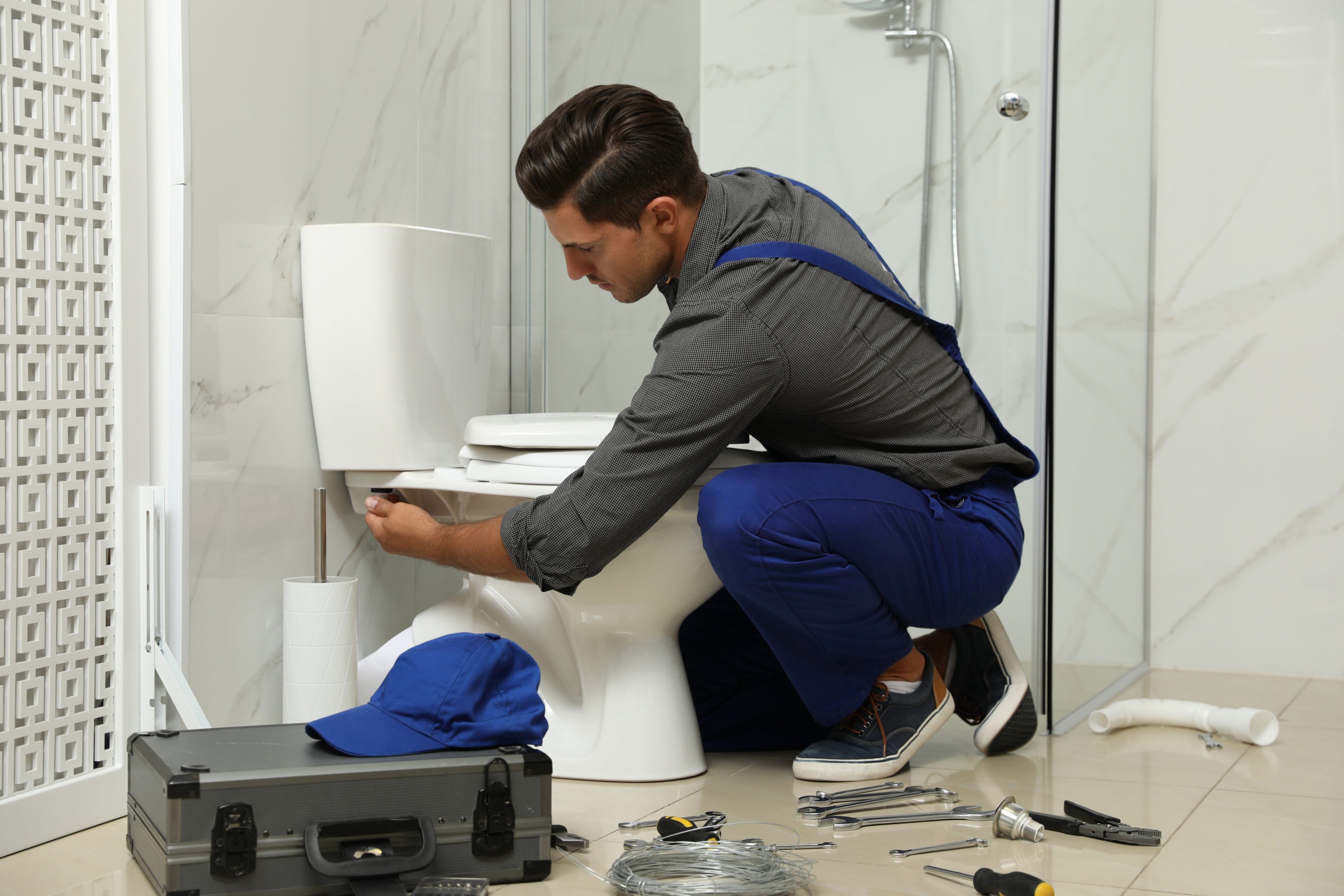 toilet repair services in blanco, texas