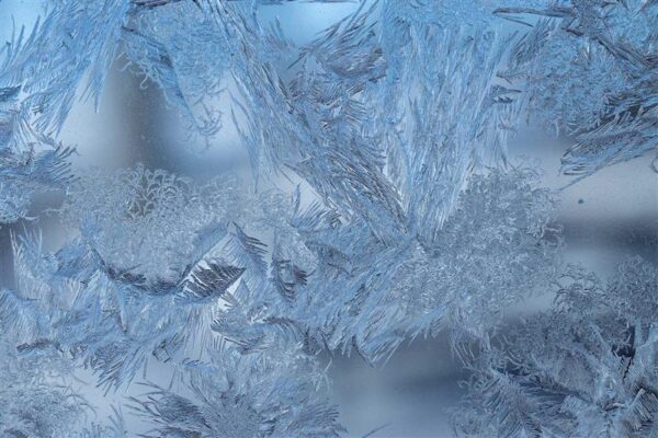 winter-freeze-prep-tips